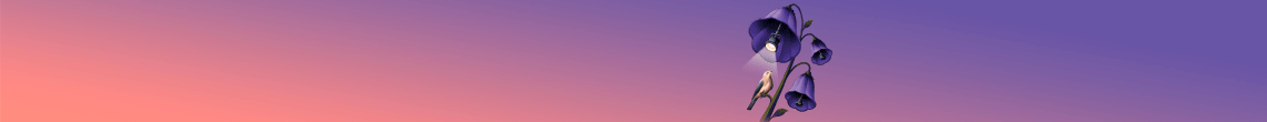 Banner publicitario