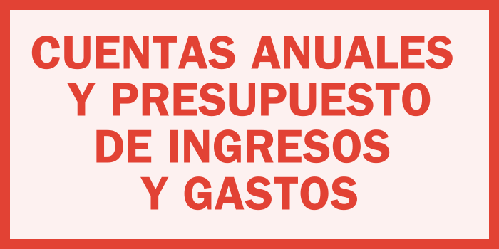 Cuentas anuales